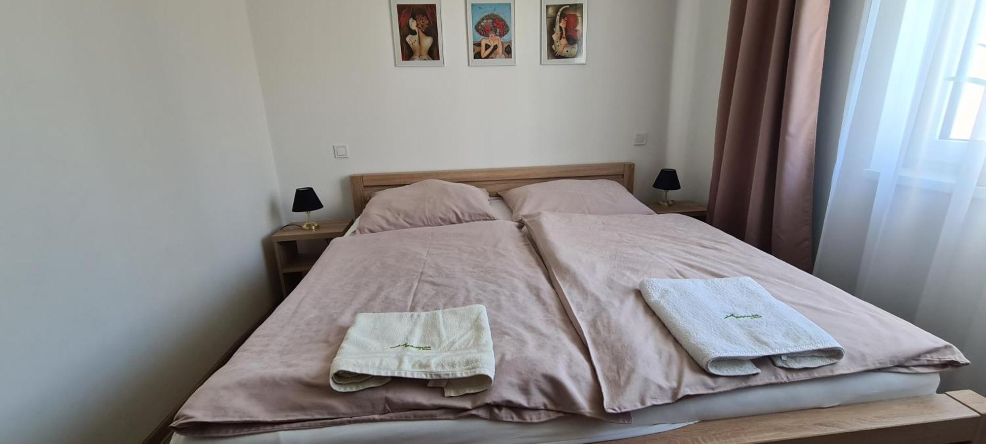 Apartman U Toma Frydlant nad Ostravici Ngoại thất bức ảnh