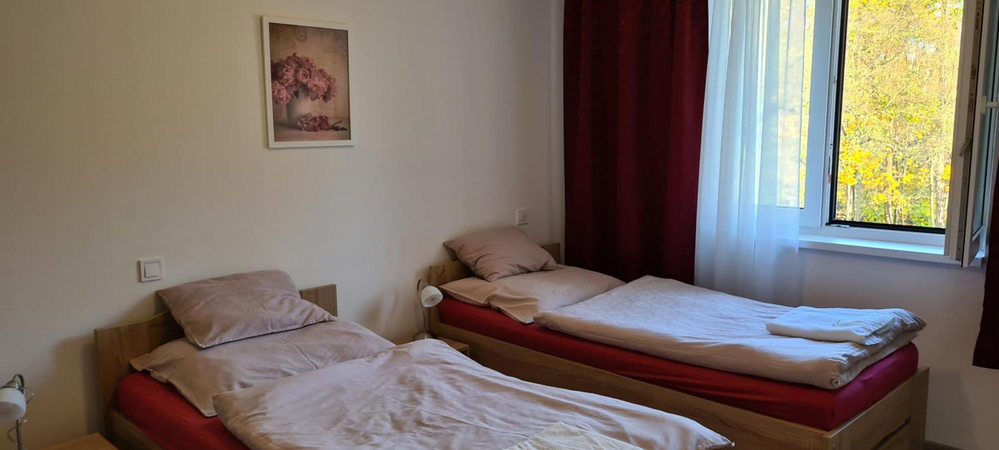 Apartman U Toma Frydlant nad Ostravici Ngoại thất bức ảnh