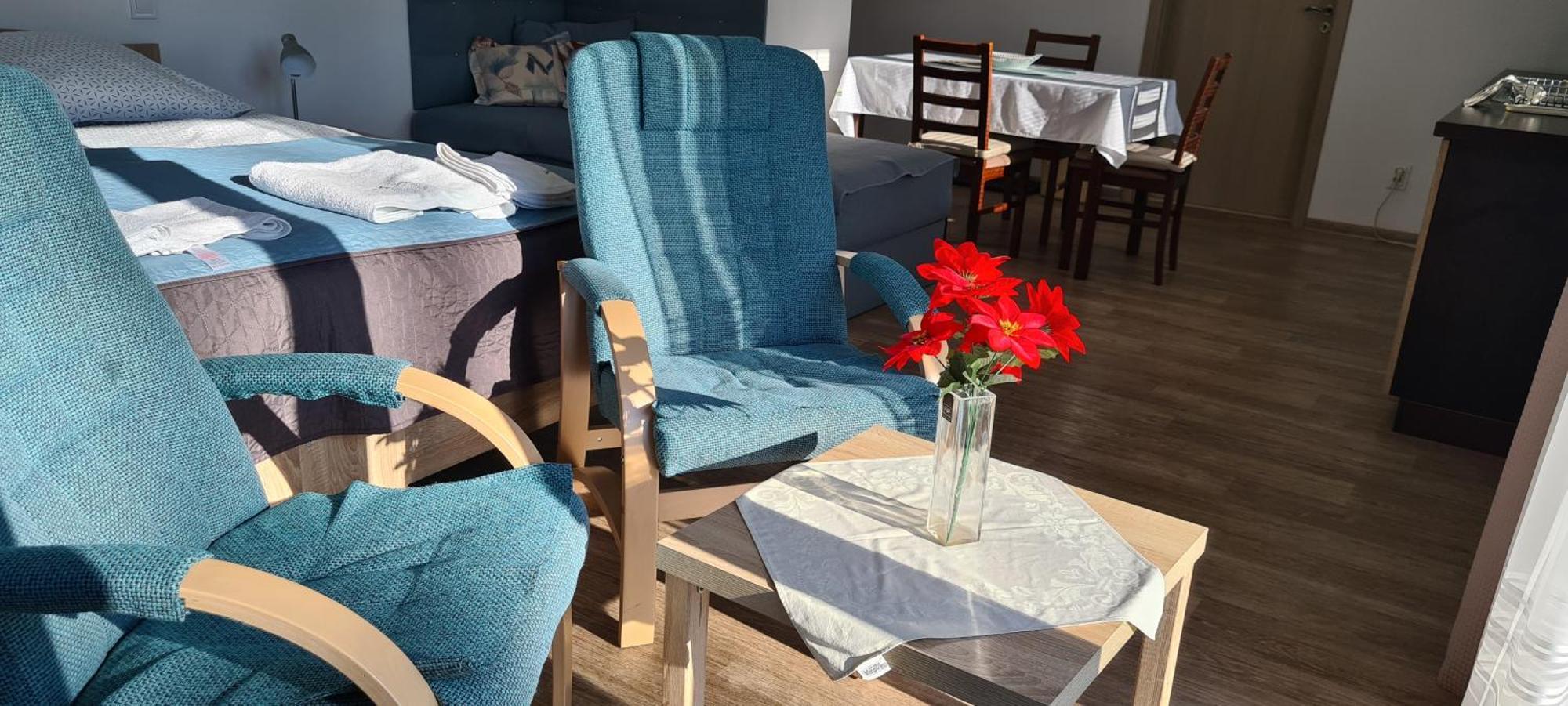 Apartman U Toma Frydlant nad Ostravici Ngoại thất bức ảnh
