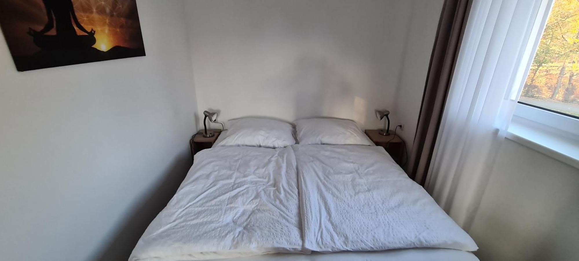 Apartman U Toma Frydlant nad Ostravici Ngoại thất bức ảnh